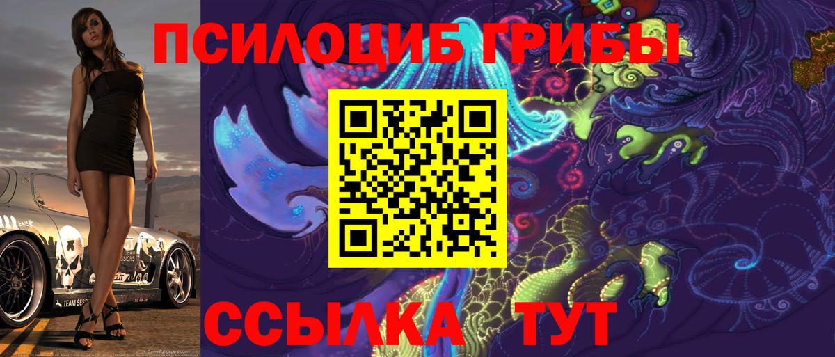 Псилоцибиновые грибы Psilocybine cubensis Шахты