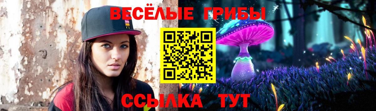 Галлюциногенные грибы MAGIC MUSHROOMS  Вход с VPN  Псилоцибиновые грибы Cubensis  Шахты 